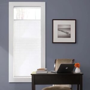 Cordless Top & Bottom Pleated Shades
